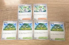 ポケモンカード　活力の森　ミツルの思いやり　6枚セット