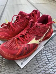 Mizuno 日本代表モデル 赤 バレーボールシューズ 26.0cmのサムネイル