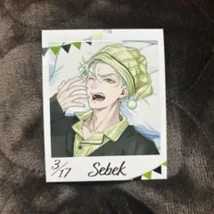 ら*い様 ツイステ フォト風カードコレクション くつろぎマイルーム セベク・ジグ