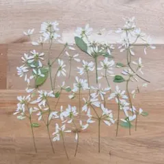 Spica様 リクエスト 2点 まとめ商品