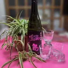 夏冷酒！佐賀　鍋島　紫ラベル　山田錦 純米吟醸　私お勧め冷酒グラスセット5個のサムネイル