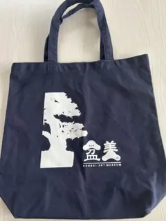 Item thumbnail for item d6dad0be-e8bb-4b2f-a773-744d9cb33142