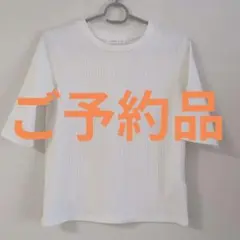 リブ編み ホワイト 半袖Tシャツ