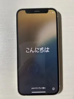 iPhone 12 mini 128GB【ジャンク品】