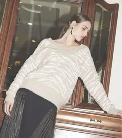 エイミーイストワール　ゼブラジャガードVネックニットプルオーバー　ニット