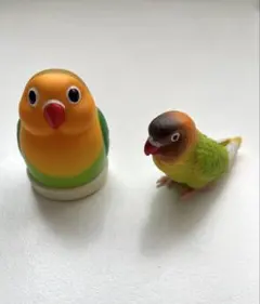 鳥さんのはんこ 手のりインココレクション ボタンインコ