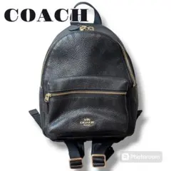 コーチ COACH ミニ チャーリー ぺブルレザー F38263 ミニ リュック