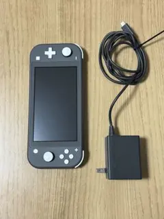 Nintendo Switch Lite グレー 充電器付き