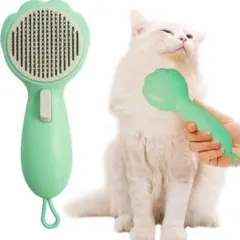 Item thumbnail for item ccf52519-bb94-41c3-b827-b06528f6567a