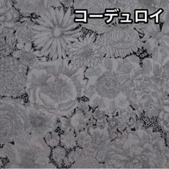 Item thumbnail for item 5e740c7d-2708-41ba-a579-38dc3fb02241