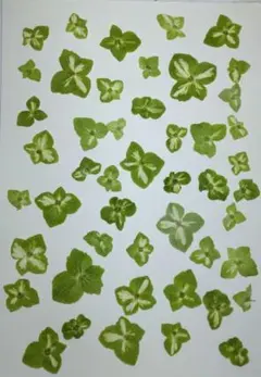 Item thumbnail for item 86c59d03-d5a6-40b4-98d3-8f356292bfaf