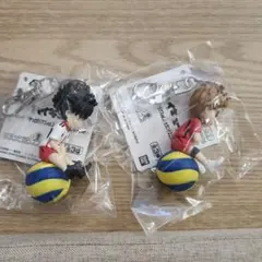 ハイキュー!! プチッとのリマス vol.2 セカンドユニフォームver.