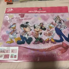 ミニーベスティーズバッシュ　クリアファイル　東京ディズニーリゾートのサムネイル