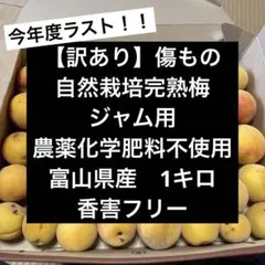 【訳あり】自然栽培完熟梅　1キロ　傷あり　ジャム用のサムネイル