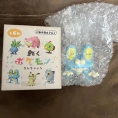 動くポケモンコレクション ケロマツ