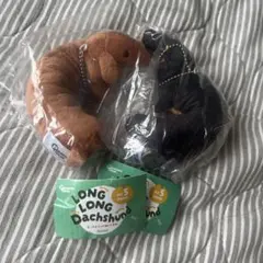 LONG LONG Dachshund ダックスフント レッド＆ブラックタン