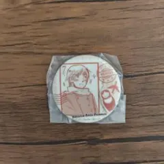 ヘタリア モナコ チェンジング缶バッジ 女の子だらけだよっ! - メルカリ