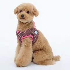 Item thumbnail for item 4e96a1f8-1e95-4726-bcd5-beddd90ac3db