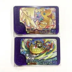 ポケモンフレンダ　ベストタッグ　4弾　カイリュー　ルチャブル　スーパートレジャー