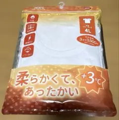 Item thumbnail for item ac70af35-7941-428d-9242-718eaceb1e9f