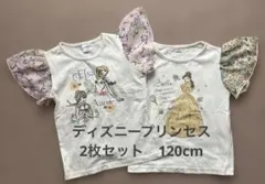 ディズニープリンセス Tシャツ 120cm 2枚セット フリル袖