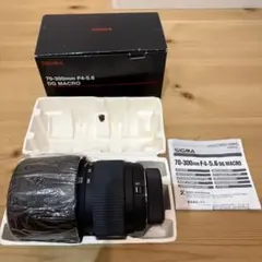 SIGMA 70-300mm F4-5.6 DG MACRO