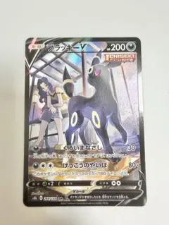 ち*@様 ブラッキーV CSR VMaxクライマックス ＋200円でローダー可