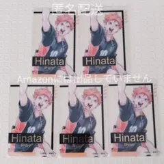ハイキュー ファンパーク 箔押しクリアカード KV 日向 5枚セット