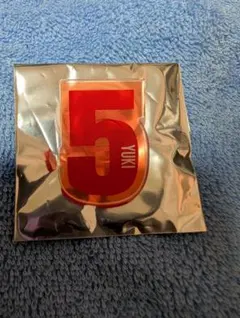 超特急　ペンライトアクセサリー　ユーキ