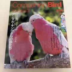 コンパニオンバード no.4