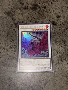 遊戯王 ブラック・ローズ・ドラゴン ウルトラレア CSOC-JP039 - メルカリ