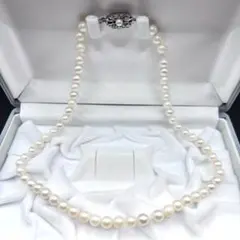 Item thumbnail for item 96391d8d-28b5-4a37-a222-5e2ec5872022