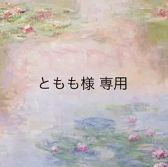 ⸝⋆とももさま 専用