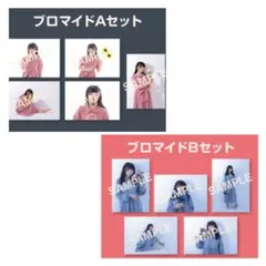 2026年最新】法元明菜の人気アイテム - メルカリ