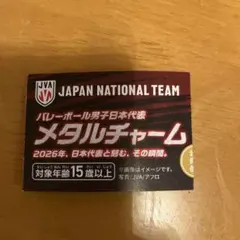 バレーボール男子日本代表 メタルチャーム 山本智大