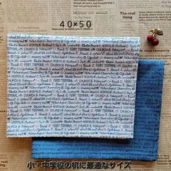 No.166ー1　ランチョンマット40×50 2枚セット