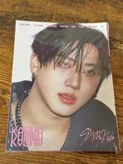 straykids スキズ karma accordion 未開封 チャンビン