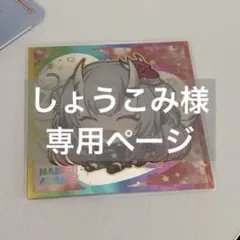 しょうこみ様専用ページ
