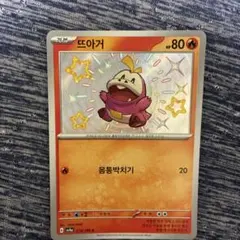 韓国ホゲータ　色違い　ポケモンカード