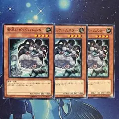 素早いビッグハムスター ノーマル