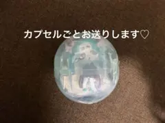 ウイルスイーツ 〜tea break〜 チョコスコーン