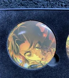 鬼滅の刃　無限城編　キービジュアル 缶バッジセットB 胡蝶しのぶ