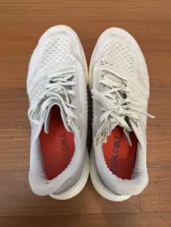 Item thumbnail for item 17359d29-9b1d-4793-a068-7643229d905f