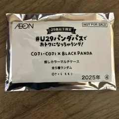 イオン　ブラックフライデーCOJI-COJI x BLACK PANDA