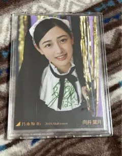 2026年最新】ハルジオンが咲く頃 生写真の人気アイテム - メルカリ