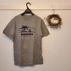 【美品】ハワイ限定 patagonia Tシャツ Sのサムネイル