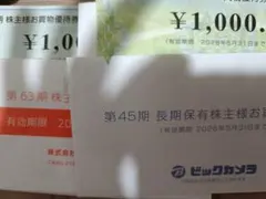 ビックカメラ 株主優待 10,000円分