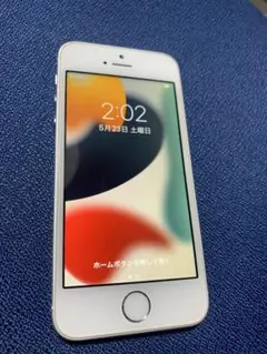 Apple iPhone SE 第1世代 32GB 本体 シルバー✓ - メルカリ