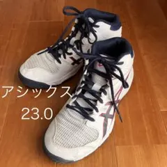 アシックス バッシュ 23.0