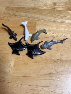 海洋生物フィギュア 6体セット